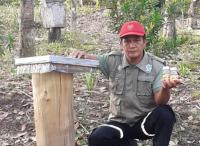 DBA Langgam Binaan Asian Agri Sukses Beternak Lebah Madu